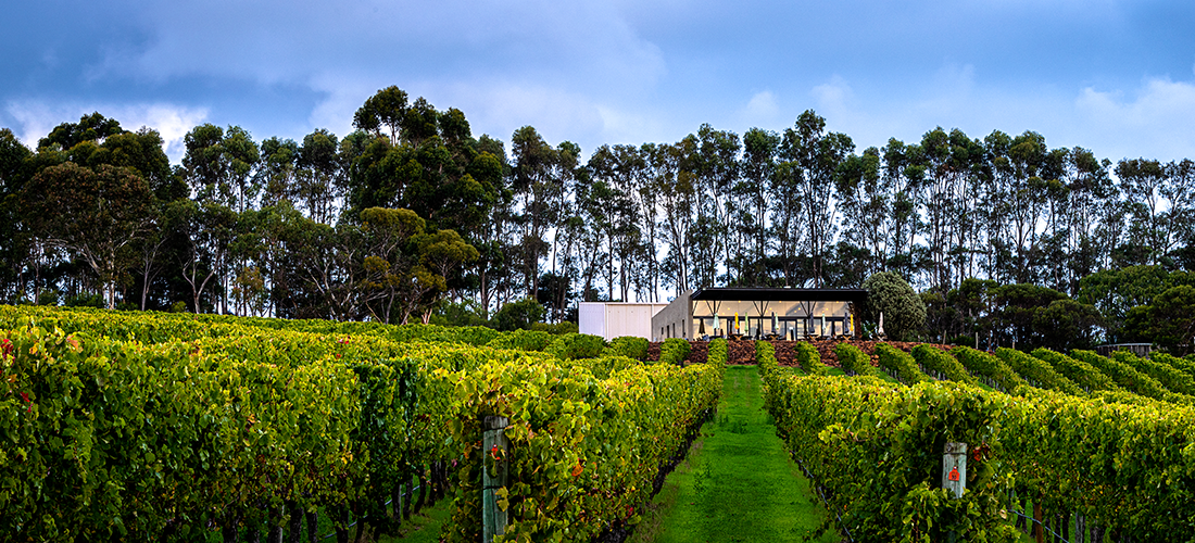 Hamelin Bay Wines grounds 